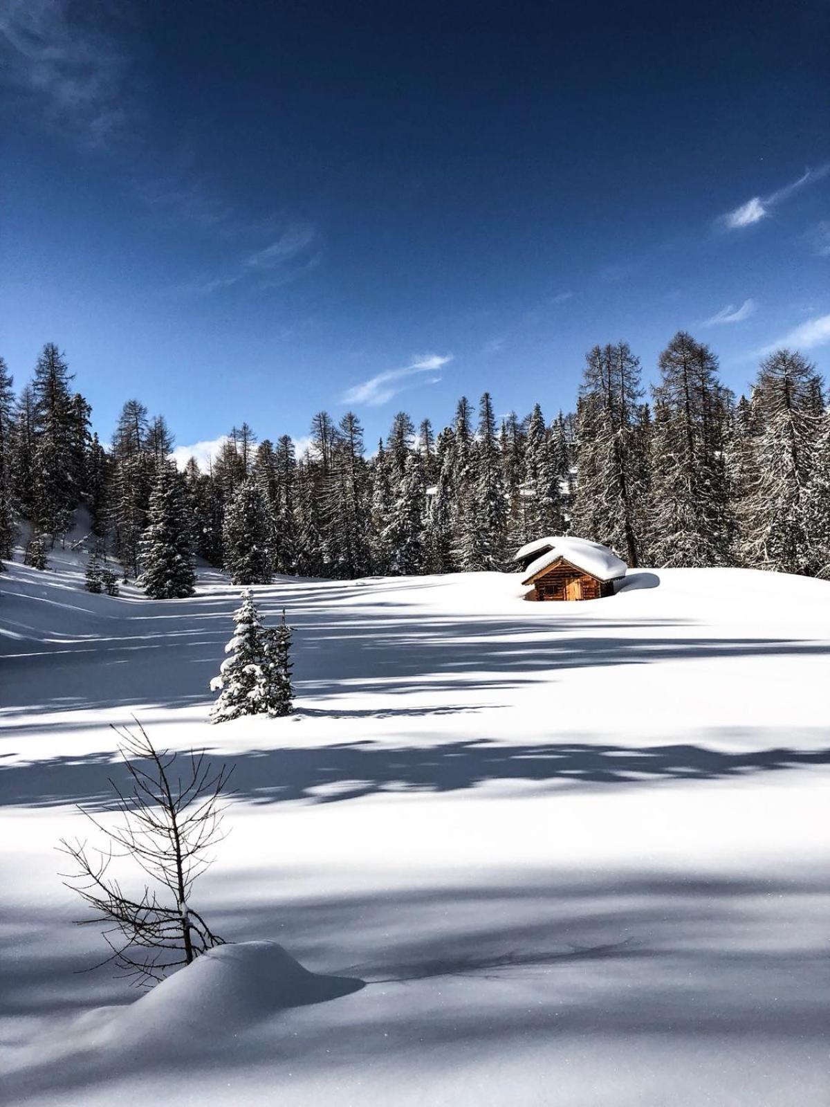 Apartments Da La Vedla Flats San Cassiano  Dış mekan fotoğraf